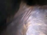 Man fucking an animal xxx in the ass